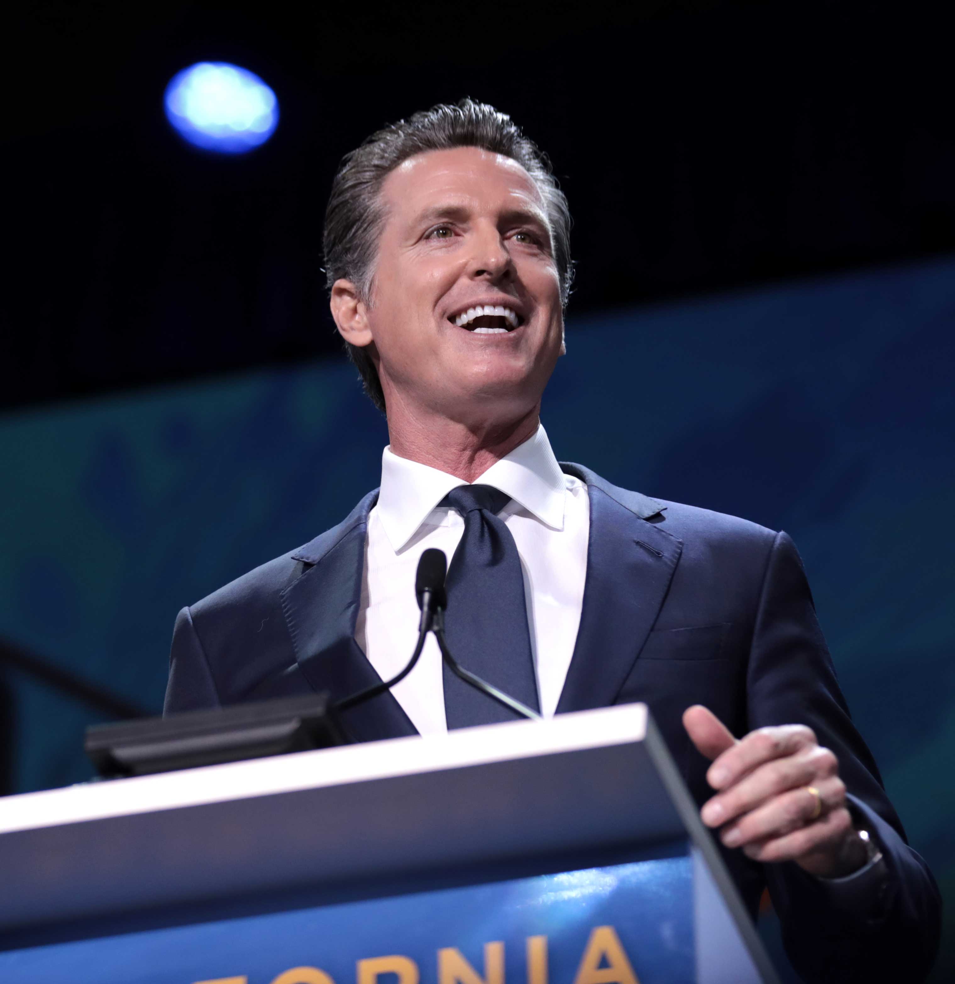 Gavin Newsom for Governor - 50+1 Strategies